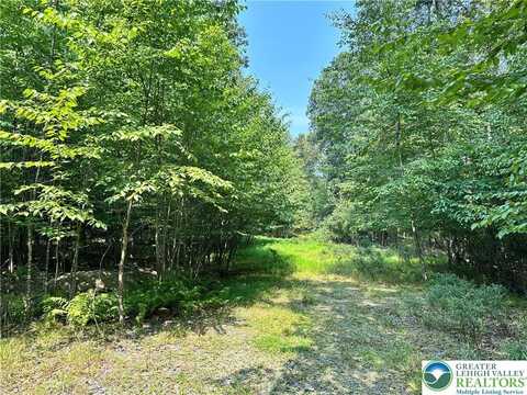Private Drive unit: 2C, Price Twp, PA 18332