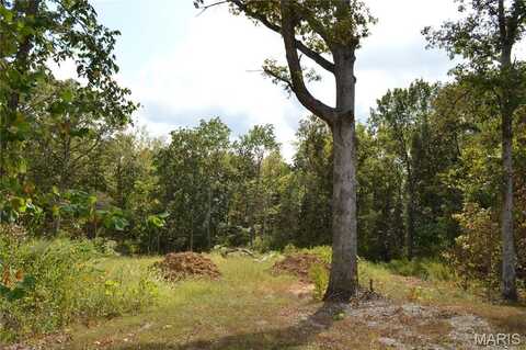 2060 Southmoor Drive, Foristell, MO 63348