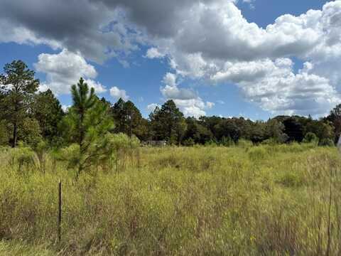330/332 DEBBIE LN, Moultrie, GA 31768