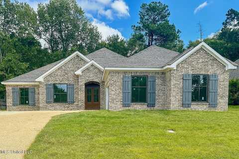572 Turtle Lane, Brandon, MS 39047
