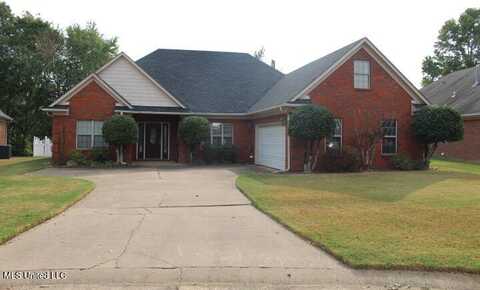 3590 Tanna Cove, Hernando, MS 38632