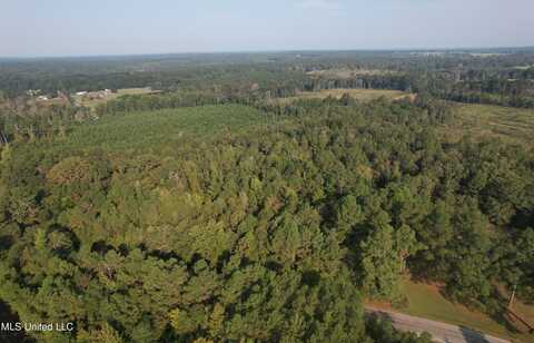 Stratton Road, Decatur, MS 39327