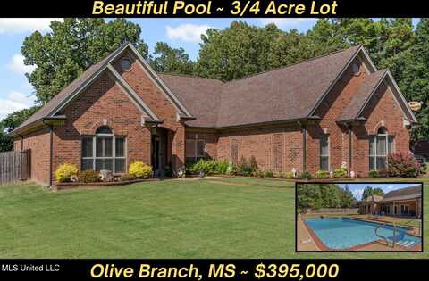 10082 Lacey Drive, Olive Branch, MS 38654