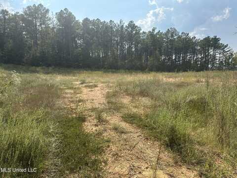 10901 Byhalia Road, Olive Branch, MS 38654
