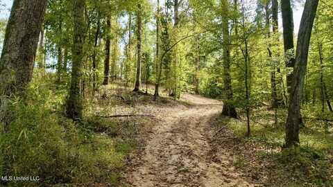 01 Abernathy Road, Flora, MS 39071