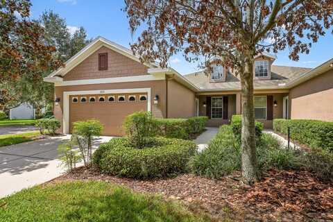 5221 BANNISTER PARK LANE, LITHIA, FL 33547