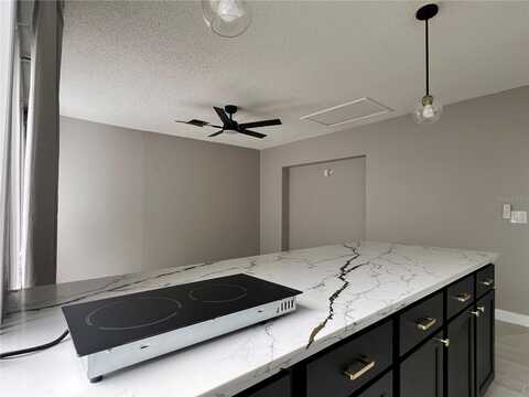 10648 LARISSA STREET, ORLANDO, FL 32821
