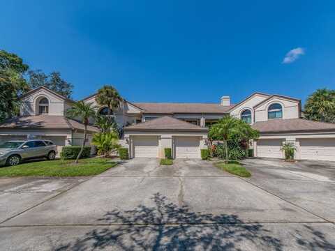 3636 OAK HAVEN DRIVE, PALM HARBOR, FL 34684
