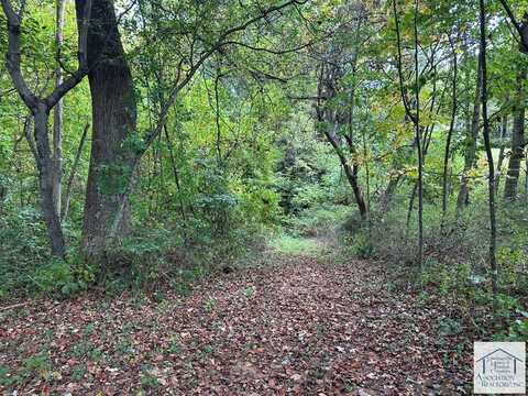 TBD Bent Rd, Meadows of Dan, VA 24120