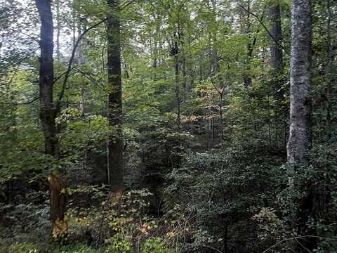 TBD Candy Mountain Road, MURPHY, NC 28906
