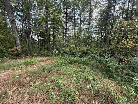 0 Mundy Road, MARBLE, NC 28905