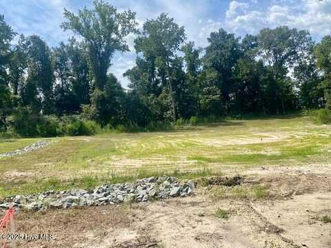 215 Willowbrook Drive, Pikeville, NC 27863