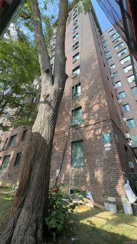 1970 E Tremont Avenue, Bronx, NY 10462