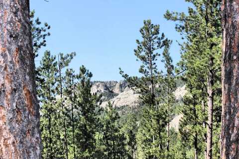 TBD Lechner Lane, Custer, SD 57730