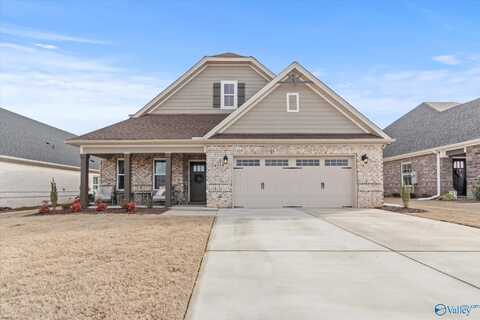 16918 Orleans Drive, Athens, AL 35611