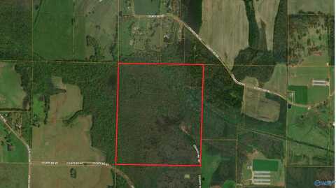 160 Acres County Road 167, Moulton, AL 35650