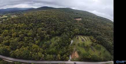 381 Caldwell Lane, Owens Cross Roads, AL 35763