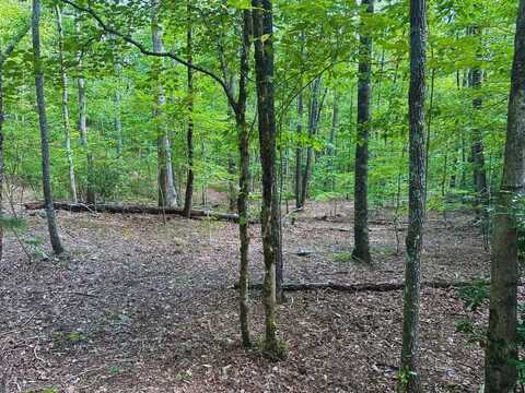 Lot 57 Asheland Cove Drive, Young Harris, GA 30582