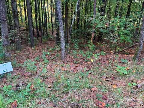 67 Liberty Lane, Murphy, NC 28906