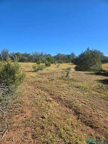 24 Peterson Drive, Silver City, NM 88061