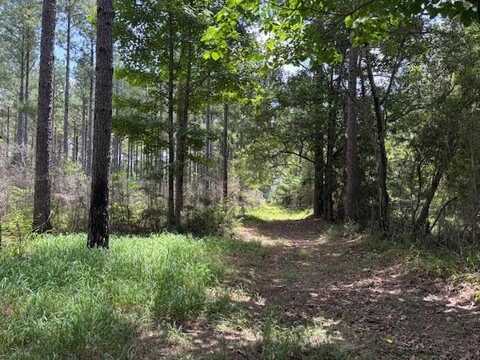 182 HWY 44 None, Jayess, MS 39641