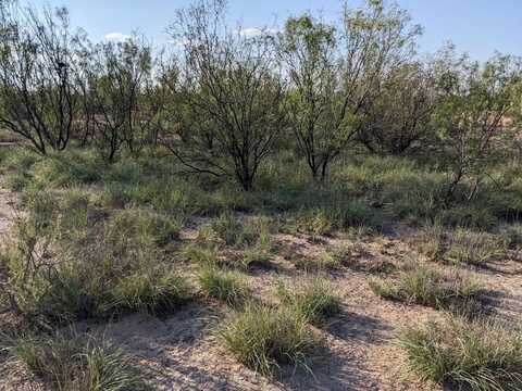 TBD FM 11, Imperial, TX 79743