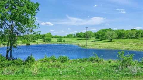 695 Mackey Road, Gunter, TX 75058