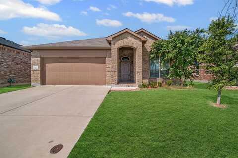 10237 Little Falls Trail, Fort Worth, TX 76177