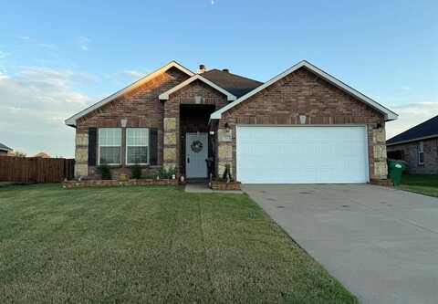 14 Vervain Drive, Fate, TX 75087