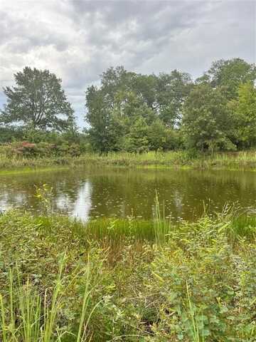 Lot 5 County Road 2310, Telephone, TX 75488