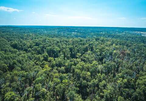 TBD Ashley Creek Road-Tract 2, Salem, MO 65560