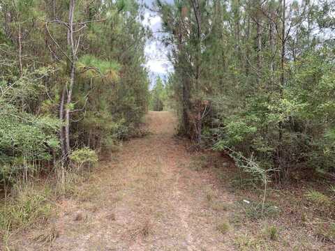 001 Old Highway 24, Neely, MS 39461