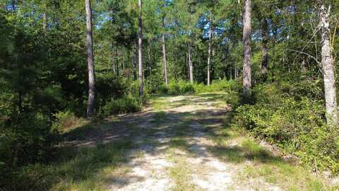 0 Lowcountry HWY, Ruffin, SC 29475