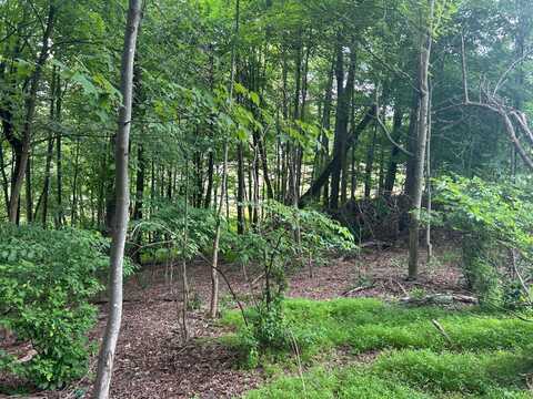 0 Williams Rd, Leechburg, PA 15656