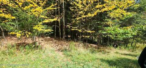 128 Brittany Hill Rd., Jewett, NY 12444