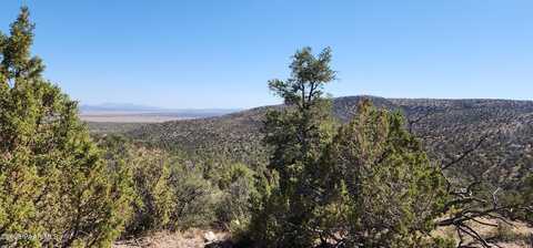 363 Big View, Ash Fork, AZ 86320