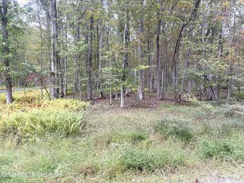 Willow Drive, Jim Thorpe, PA 18229