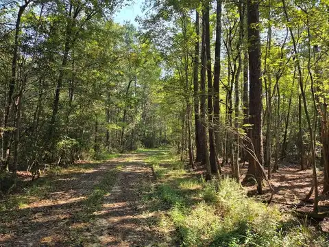 21.79 Acre Homer Ladner Road, Poplarville, MS 39470