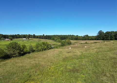 Lot 2 Highway 1473, Greenville, KY 42345
