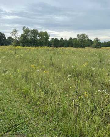 County Road 545, Englewood, TN 37329
