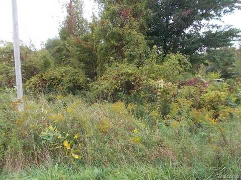 No Number Shay Lake Road, Mayville, MI 48760