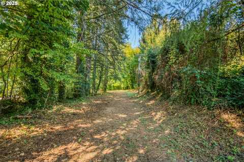 0 SE Palmer LN, Dayton, OR 97114