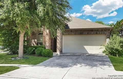 6303 Black Bear, San Antonio, TX 78253