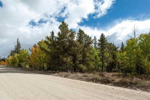 452 QUARTZVILLE ROAD, Alma, CO 80420