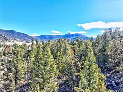 62 GRAND LANE, Hartsel, CO 80449