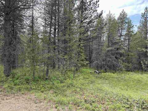 Xxx N Division Rd, Deer Park, WA 99006