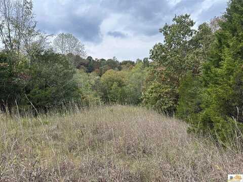 8923 Greensburg Road, Edmonton, KY 42129