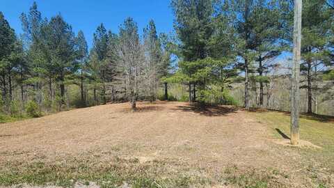0 Co Rd 373, Crane Hill, AL 35053