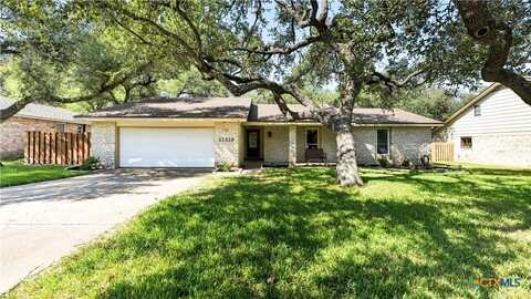 11516 Shakespearean Way, Austin, TX 78759