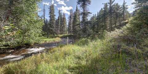 Lots 58 And 59 Valley of the Pines, Red River, NM 87558